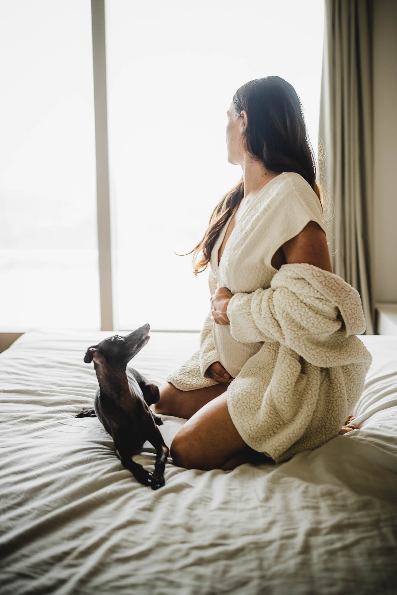 Export x3 1DX26345 Fotoshooting 2020 Zito